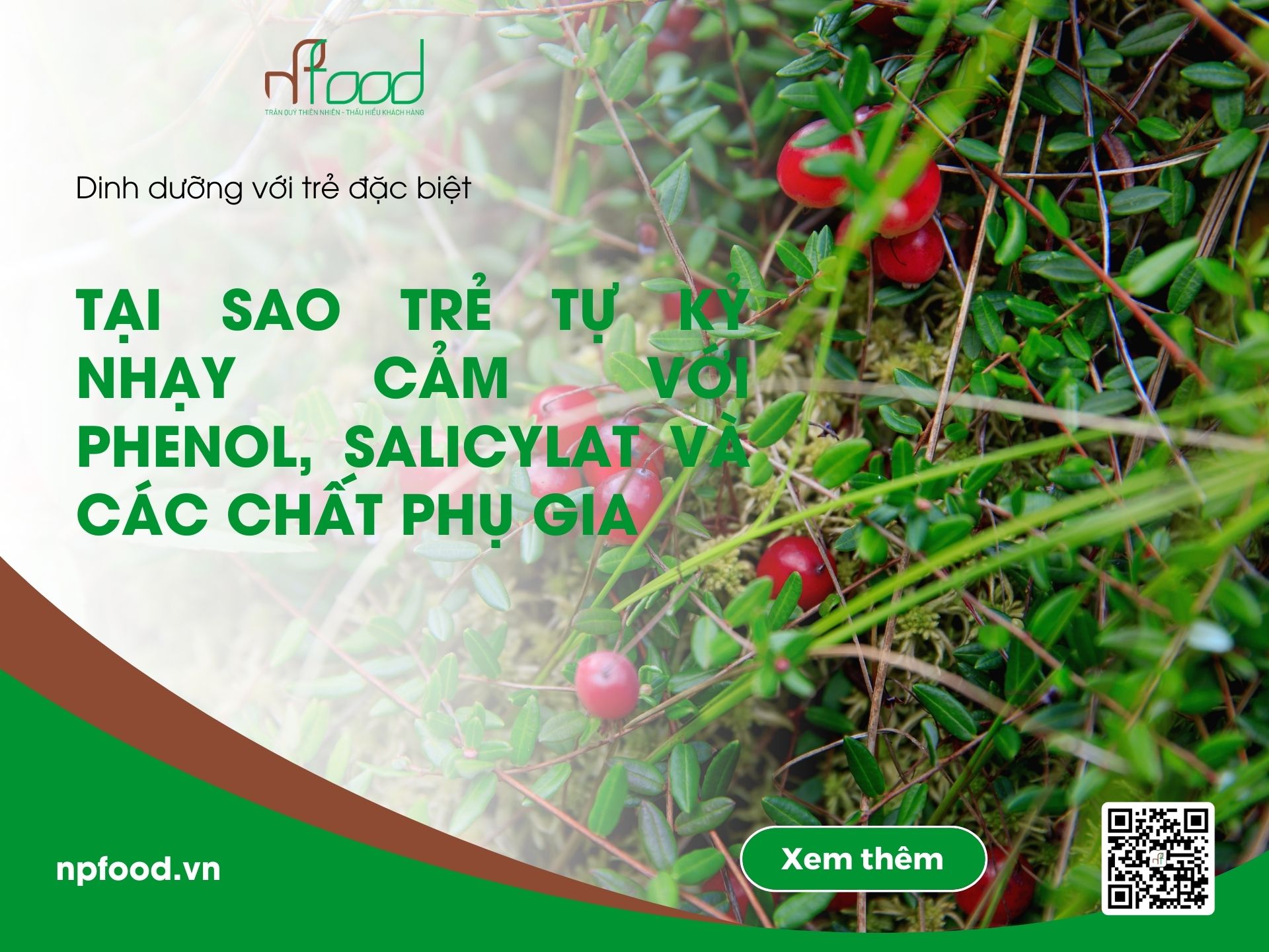 Tại sao trẻ tự kỷ nhạy cảm với Phenol, Salicylat và các chất phụ gia